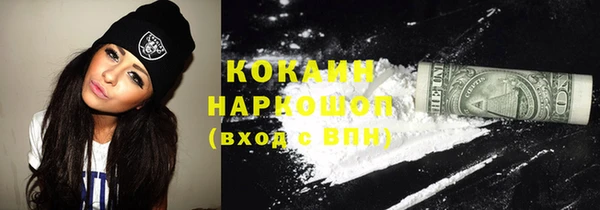 индика Баксан