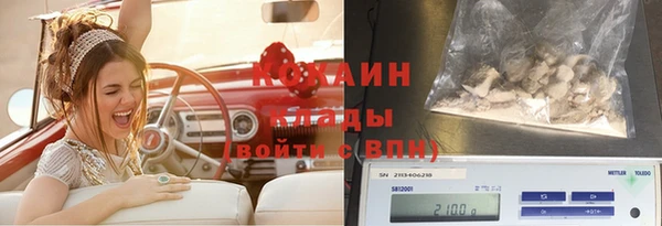 дурь Балахна
