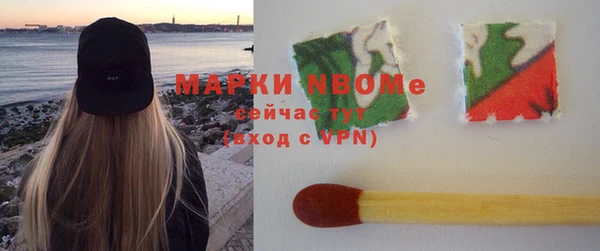 индика Баксан