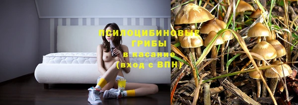 гидропоника Балабаново