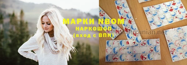 индика Баксан