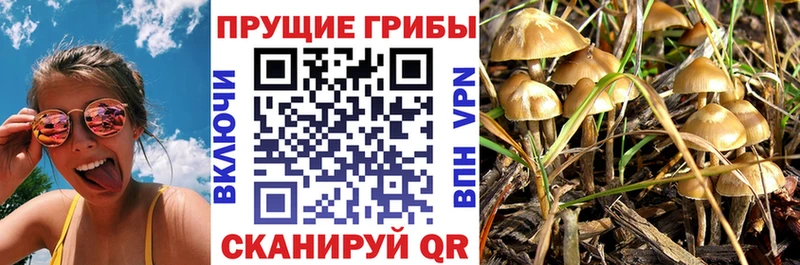 Псилоцибиновые грибы GOLDEN TEACHER  Венёв 