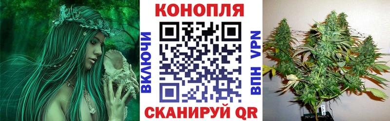 мега tor  маркетплейс как зайти  Венёв  Шишки марихуана конопля  сколько стоит 